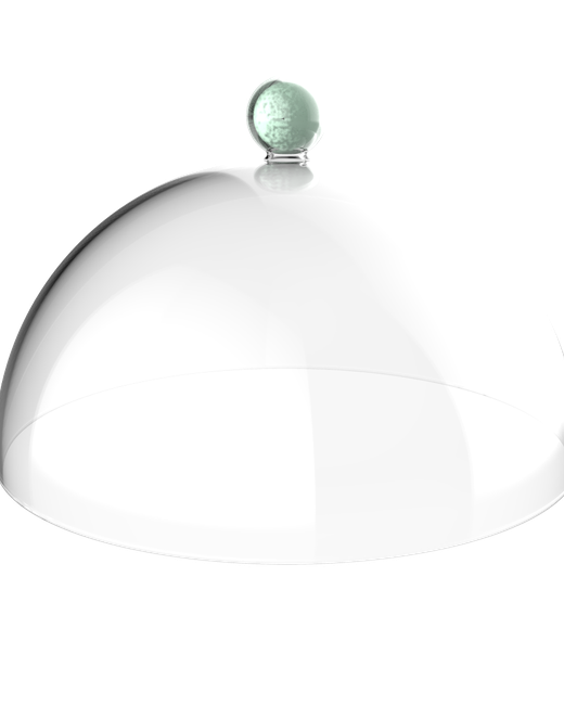Cúpula 25 cm de diámetro (403108-048)