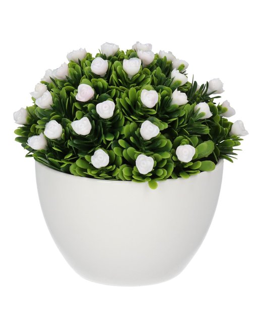 florcitas blancas  en maceta de cerámica (740045)
